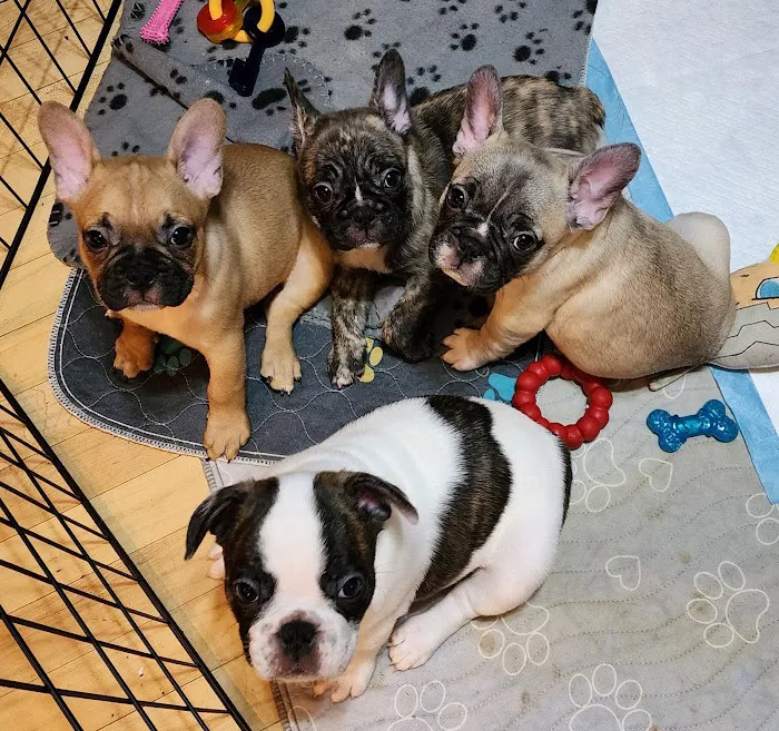North Cape Corner Veterinary Clinic Picture 6