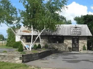 Country Veterinary Service Picture 9