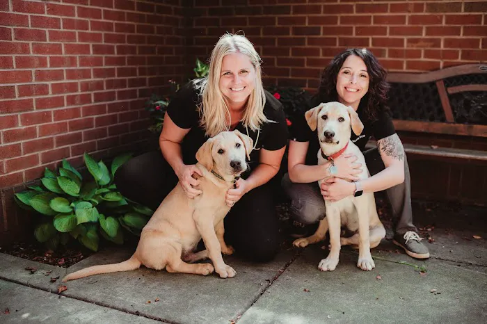 Magnolia Springs Veterinary Center Picture 4