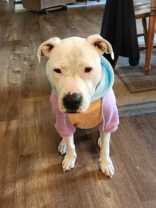For Pets' Sake Vet Clinic Inc Picture 2