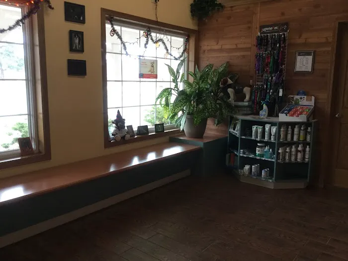 Animal Clinic of Elkhorn Picture 9