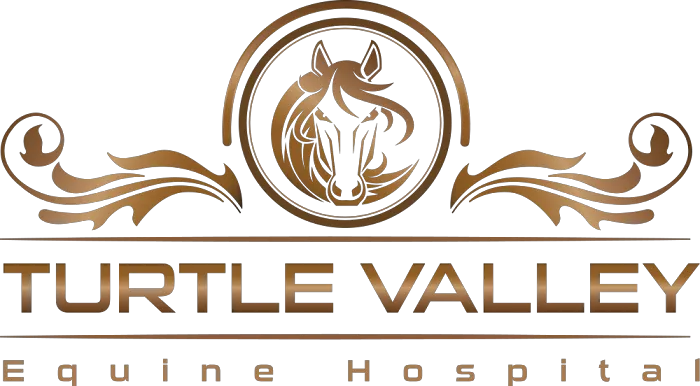 Turtle Valley Equine Hospital Picture 1