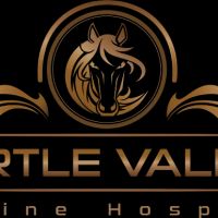 Turtle Valley Equine Hospital ico