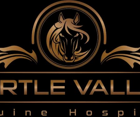 Turtle Valley Equine Hospital