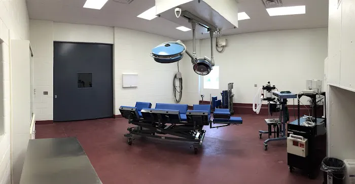 Turtle Valley Equine Hospital Picture 6
