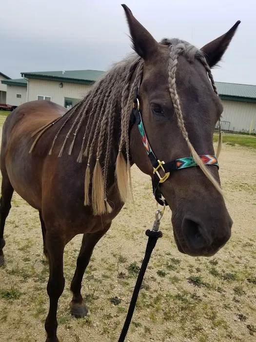 Turtle Valley Equine Hospital Picture 3