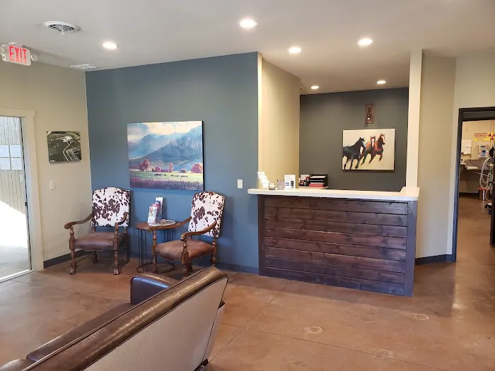 Midwest Veterinary Dental Services Picture 3