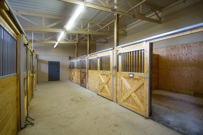 Midwest Veterinary Dental Services Picture 4