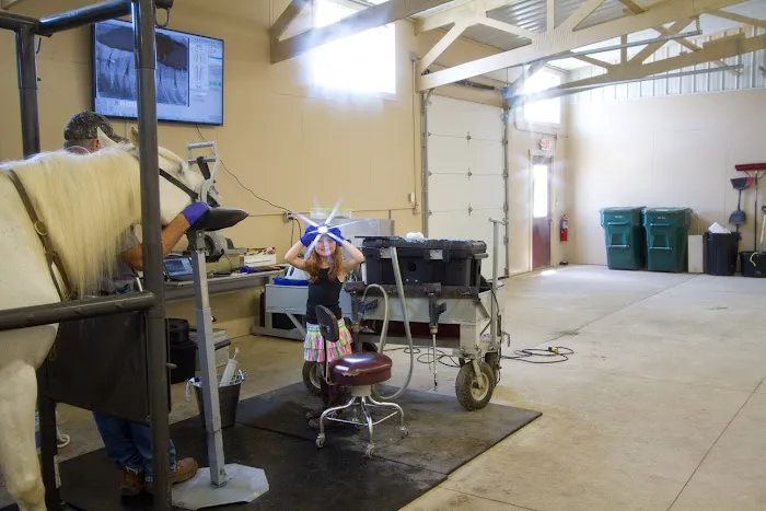 Midwest Veterinary Dental Services Picture 7