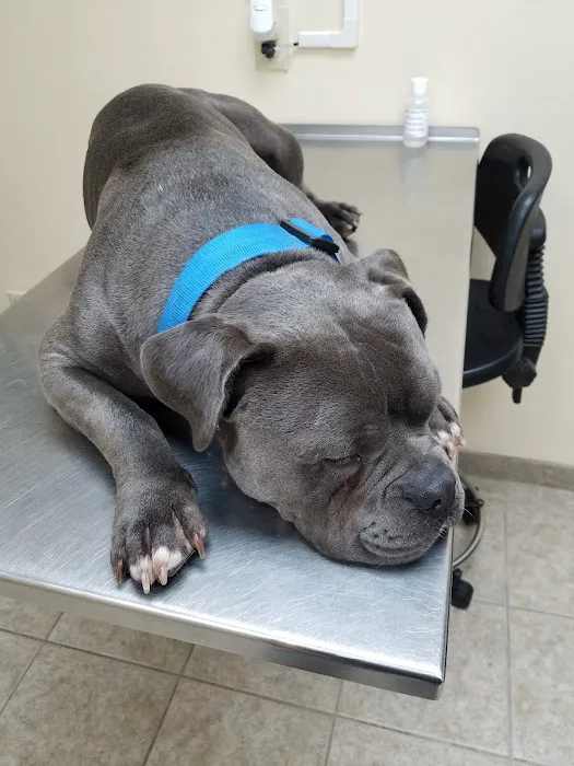 Prairie Animal Hospital Picture 4