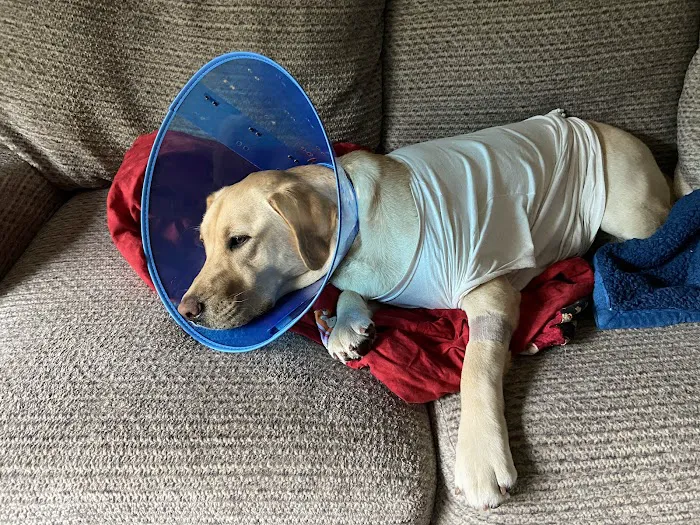 Prairie Animal Hospital Picture 9