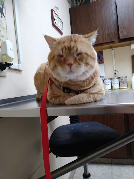 Prairie Animal Hospital Picture 10