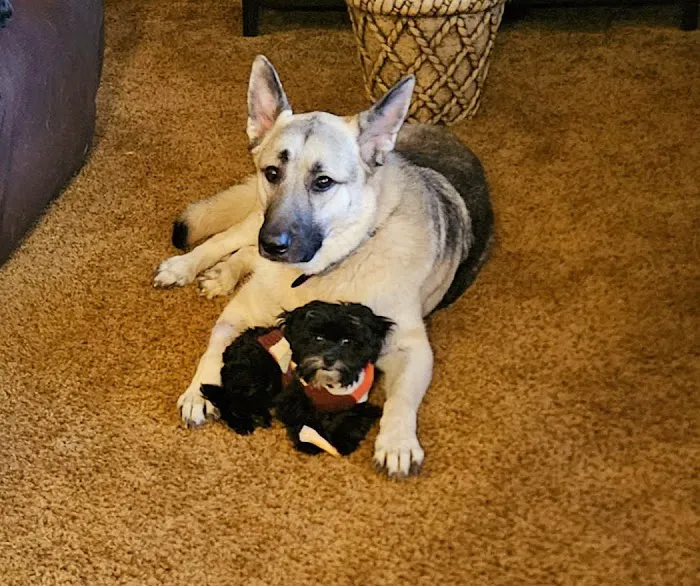 Hononegah Animal Hospital Picture 4