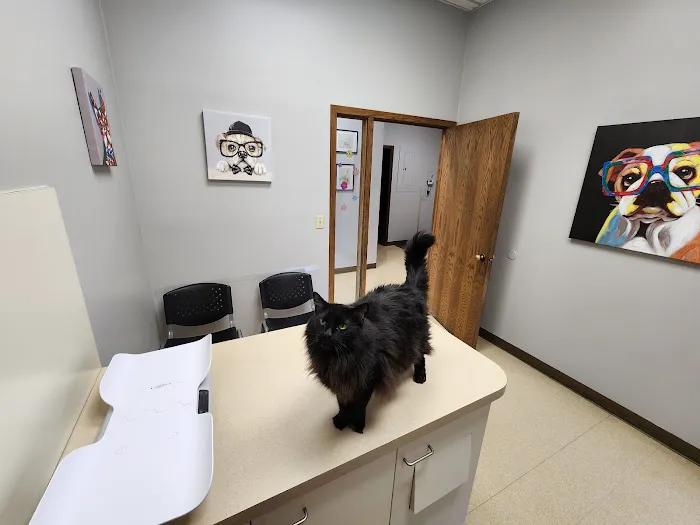 Hononegah Animal Hospital Picture 8