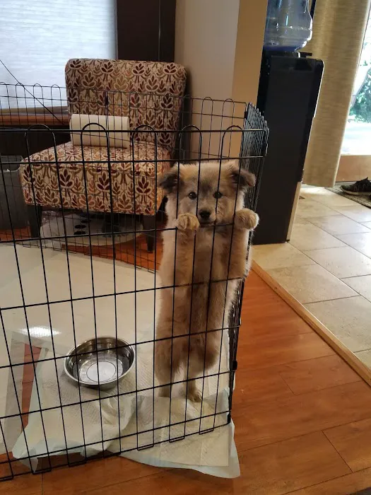 Rockton Veterinary Hospital Picture 7