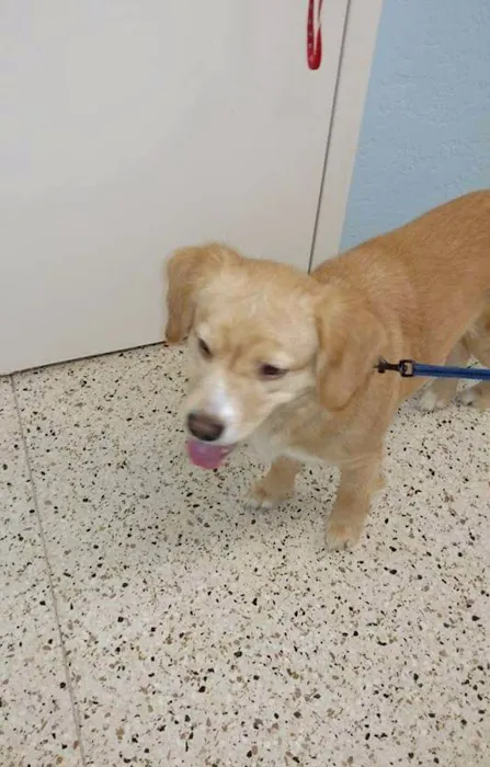 Cleveland Animal Hospital Picture 4
