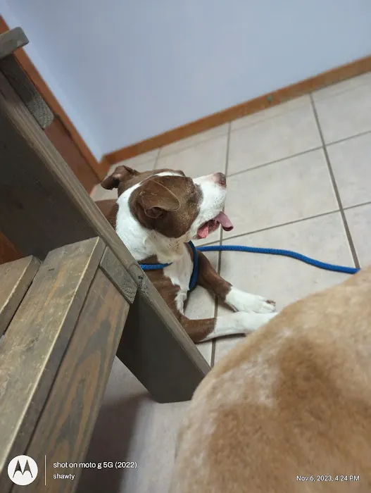 Big Thicket Veterinary Clinic - Cleveland Picture 2