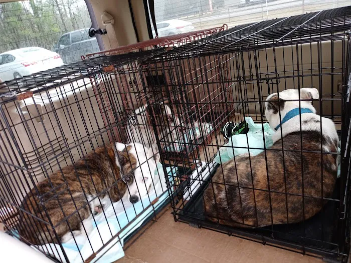 Big Thicket Veterinary Clinic - Cleveland Picture 6
