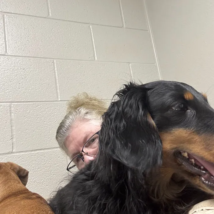 Alldredge Veterinary Hospital Picture 6