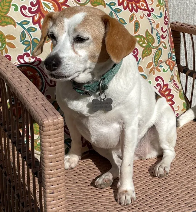 Mitschke Veterinary Services Picture 2