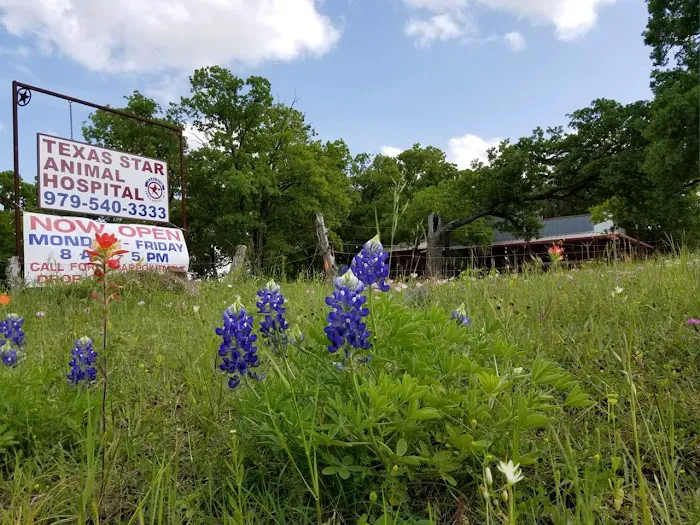 Texas Star Animal Hospital Picture 2