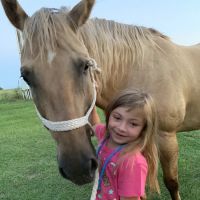Shiner Animal Hospital ico