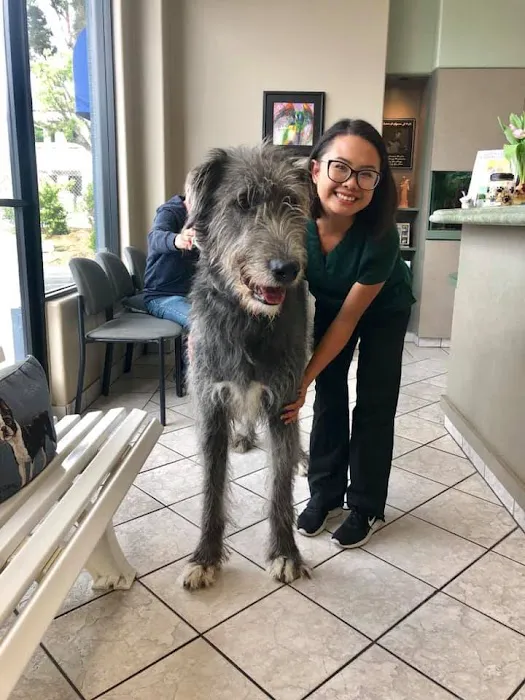 Newbury Park Veterinary Clinic Picture 7