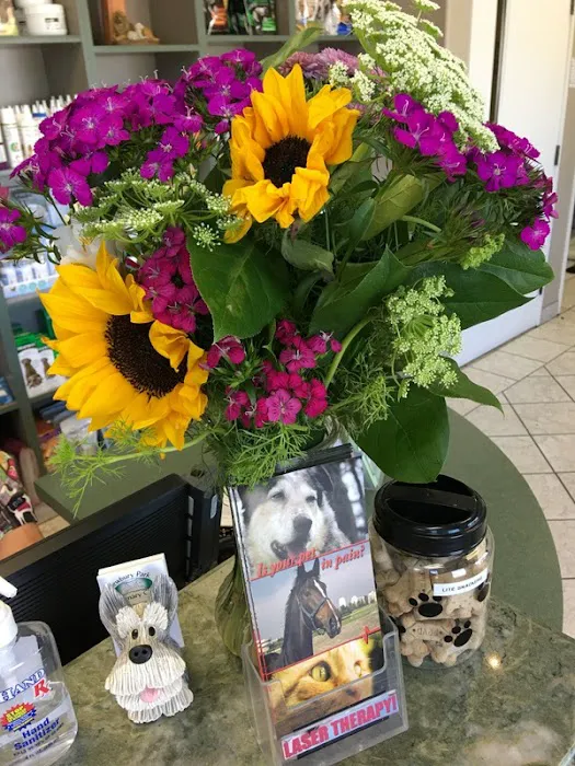 Newbury Park Veterinary Clinic Picture 9