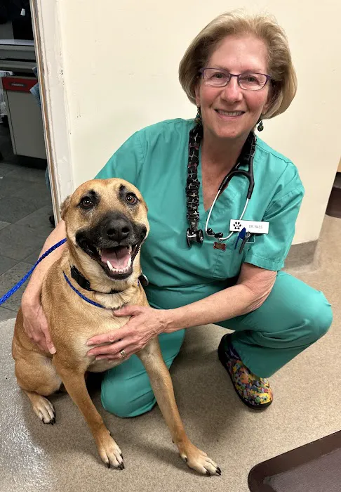Animal Hospital of Thousand Oaks Picture 3