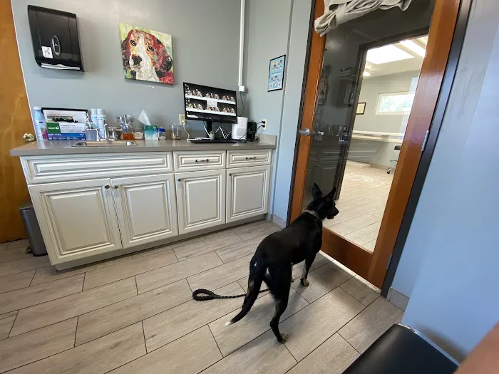 Green Valley Veterinary Clinic Picture 7