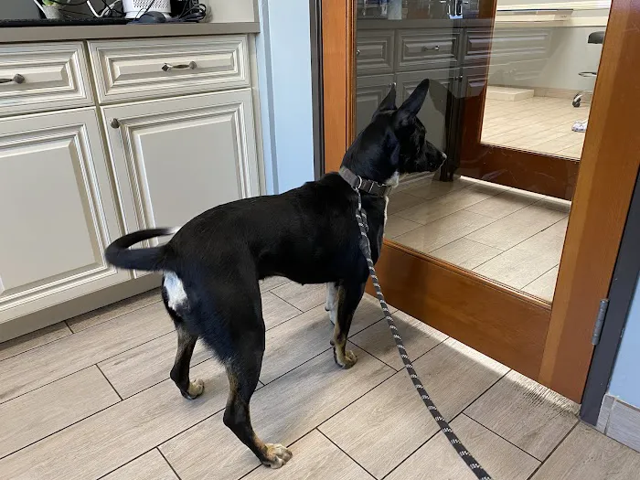 Green Valley Veterinary Clinic Picture 8