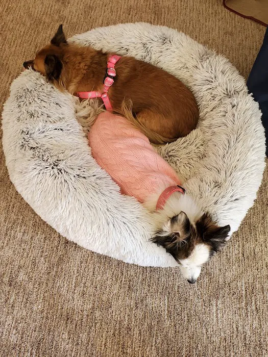 Beaumont Animal Hospital Picture 3