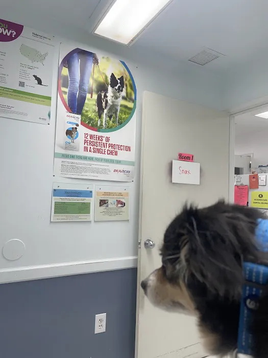 Beaumont Animal Hospital Picture 7