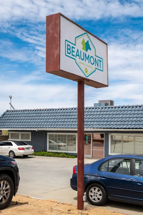Beaumont Animal Hospital Picture 10