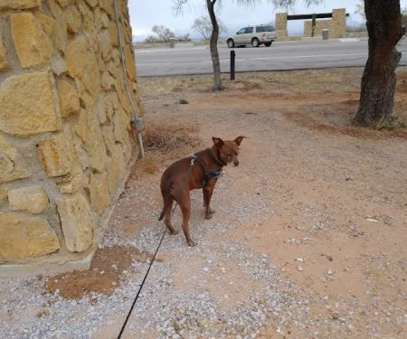 Coupland Veterinary Hospital - Dr. Arlon Graef, DVM