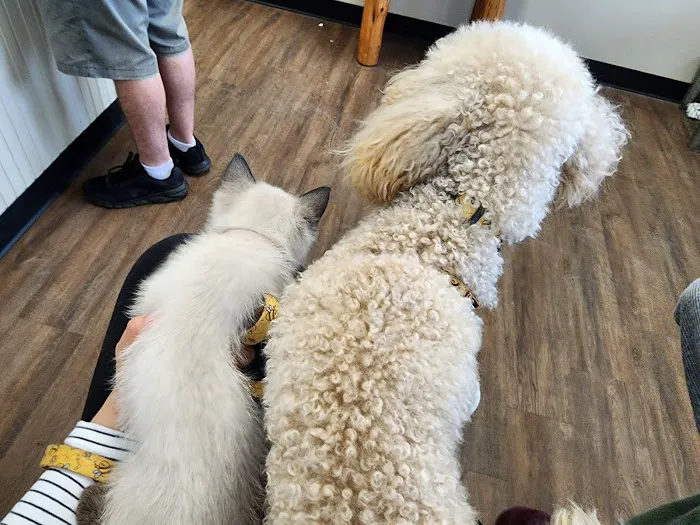 Coupland Veterinary Hospital - Dr. Arlon Graef, DVM Picture 7