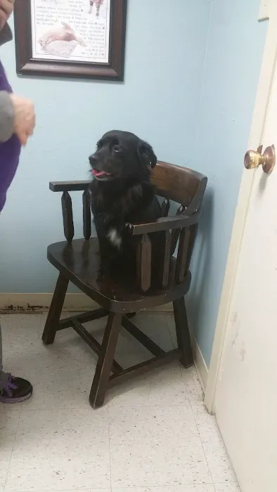 Bellevue Road Animal Hospital Picture 5