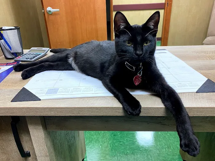 PetCare Animal Hospital Picture 1