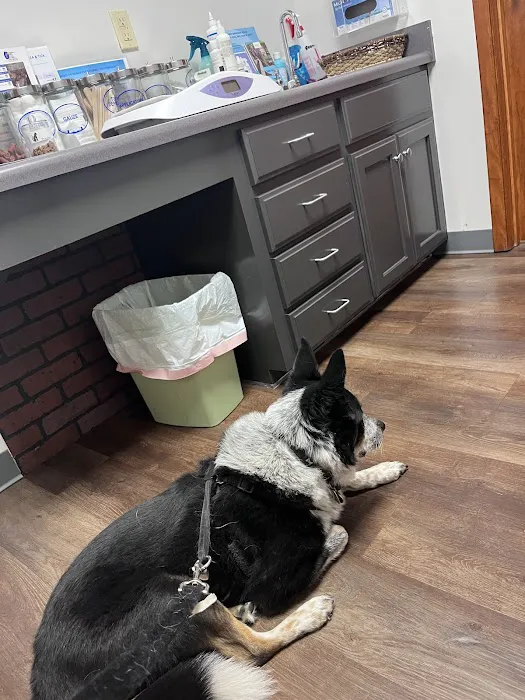 PetCare Animal Hospital Picture 4