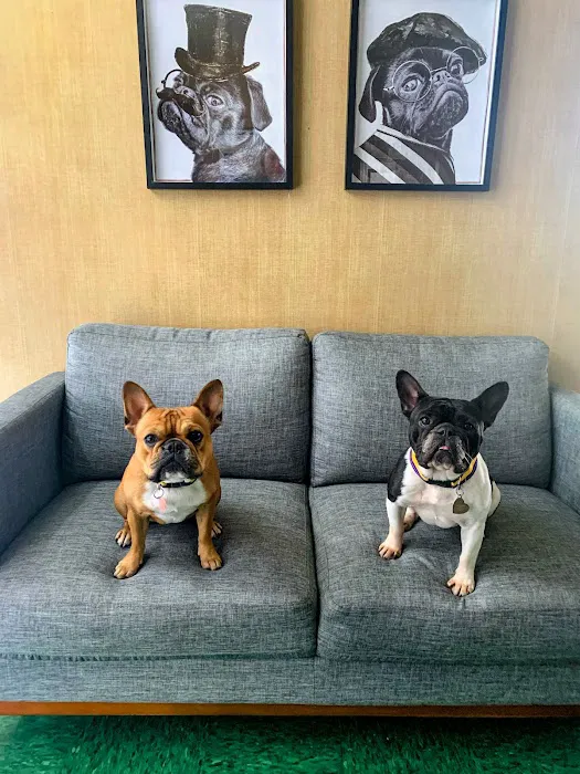 PetCare Animal Hospital Picture 8