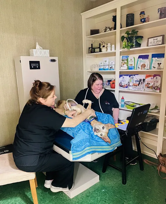 PetCare Animal Hospital Picture 9