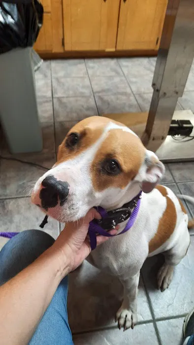Vivian Animal Hospital Picture 3