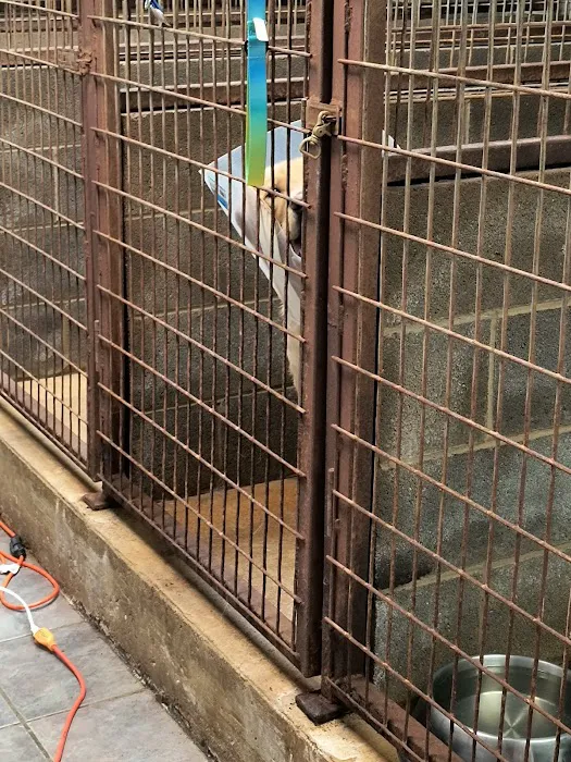 Vivian Animal Hospital Picture 6