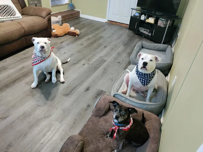 Berry Animal Clinic Picture 2