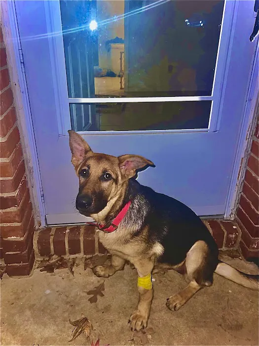 Berry Animal Clinic Picture 3