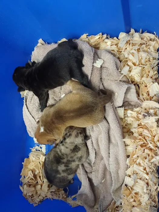 Berry Animal Clinic Picture 6