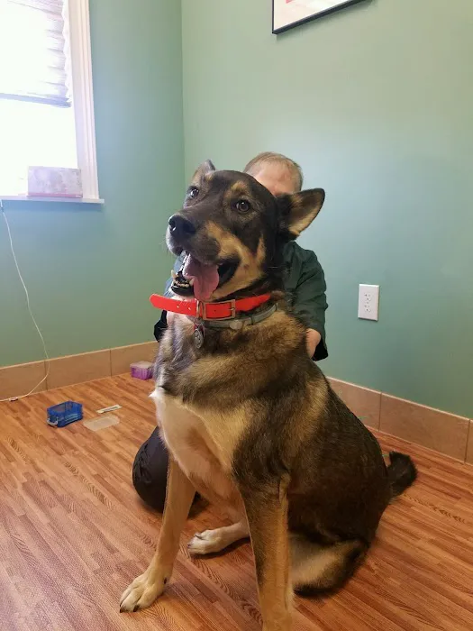 Family Pet Health Care Picture 6