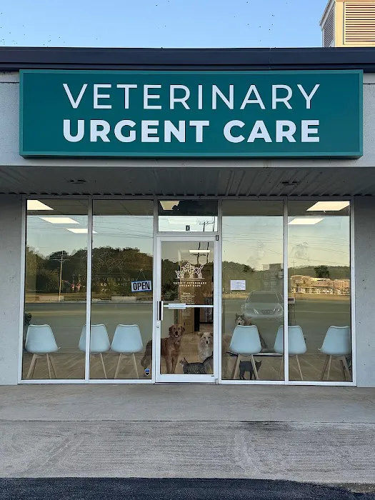 Summit Veterinary Urgent Care Picture 2