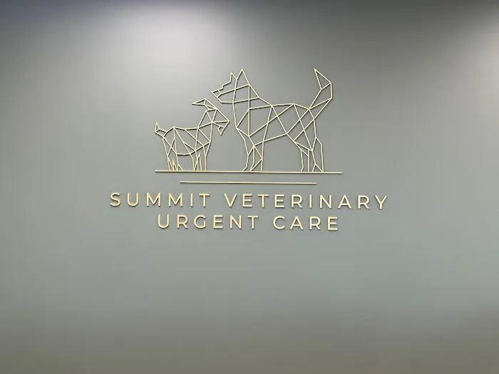 Summit Veterinary Urgent Care Picture 6