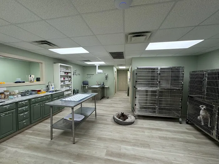 Summit Veterinary Urgent Care Picture 8